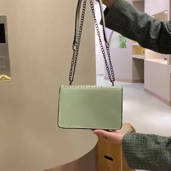 Designer Handbag Shoulder Silver Chain Bag Clutch Flap Highest Quality Totes Bags Wallet Velour Purse Double Letters Hasp Waist Square Stripes Women Luxury Hand